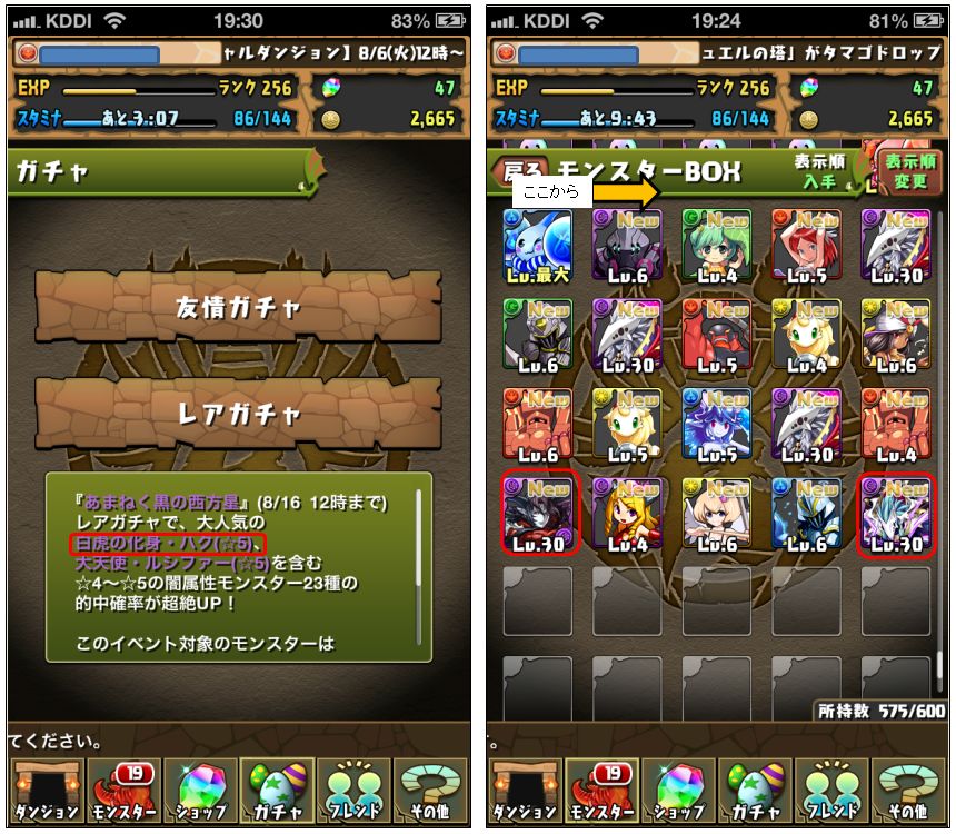 パズドラ  20130809
